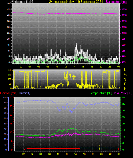 24 Hour Graph for Day 19