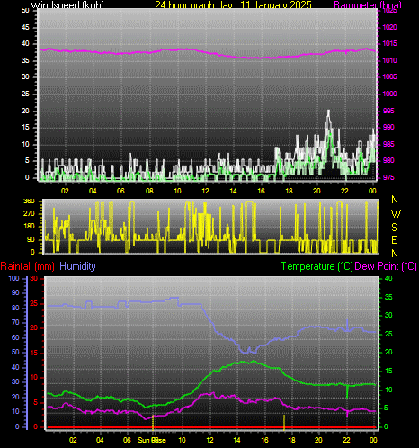 24 Hour Graph for Day 11