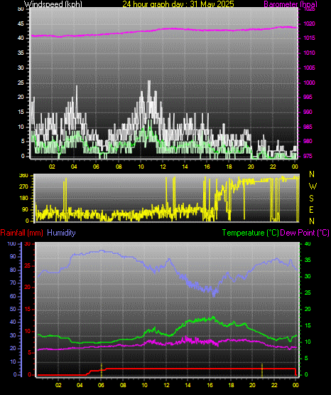 24 Hour Graph for Day 31