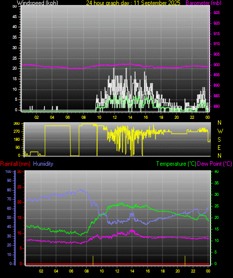 24 Hour Graph for Day 11