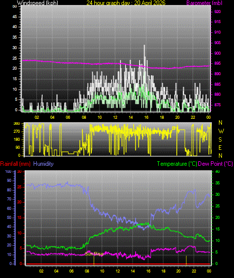 24 Hour Graph for Day 20