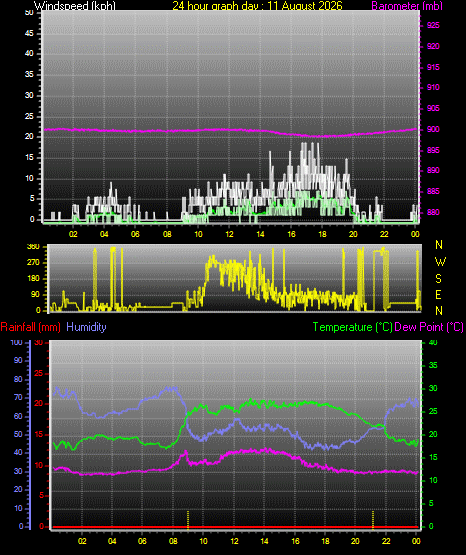 24 Hour Graph for Day 11