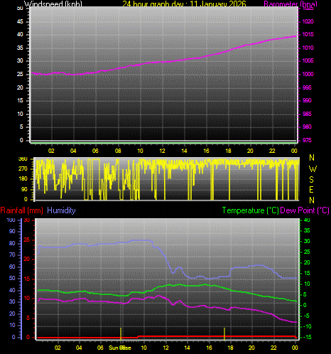 24 Hour Graph for Day 11