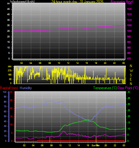 24 Hour Graph for Day 31