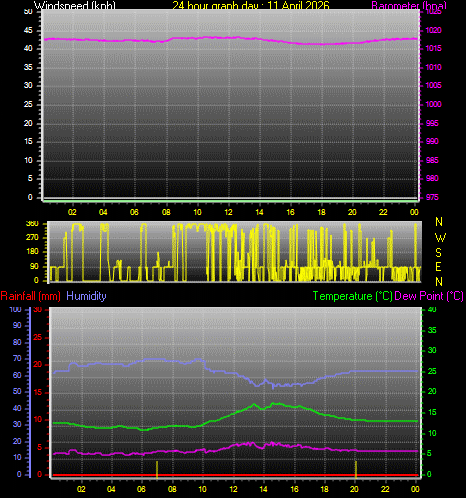 24 Hour Graph for Day 11
