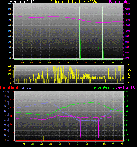 24 Hour Graph for Day 11