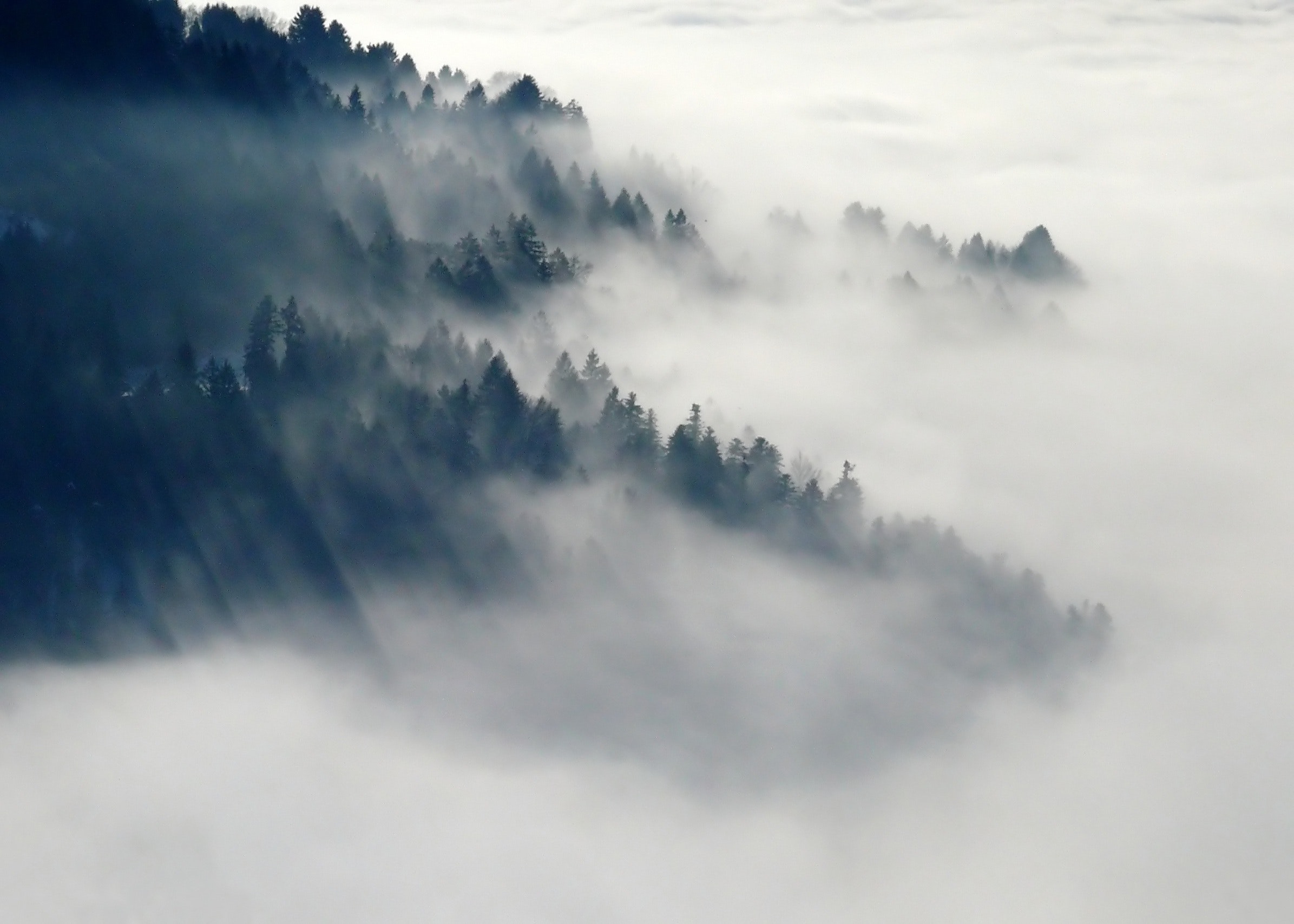 Πρόγνωση Θεσσαλίας και Σποράδων 19-20/12/19 Πυκνές ομίχλες και λίγες βροχές στα δυτικά την Παρασκευή (+χάρτες ομίχλης)