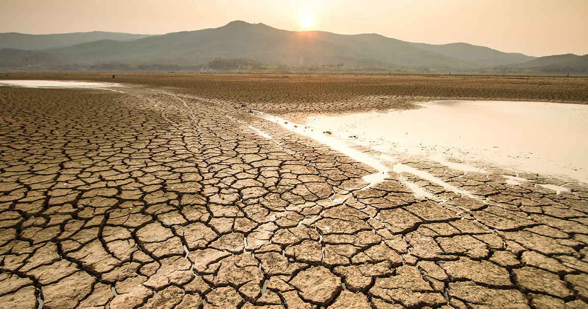 Κλιματική αλλαγή στην Ευρώπη: Τριπλάσιες οι απώλειες στη συγκομιδή λόγω της ξηρασίας