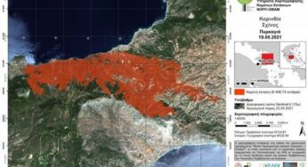Φωτιά στον Σχίνο: Θα χρειαστούν 70 χρόνια για να επανέλθει το δάσος στα Γεράνεια Όρη