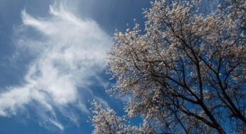 Καλοκαιρία με λίγες τοπικές βροχές το τετραήμερο από 4 έως 7 Μαΐου του 2021(+Χάρτες)