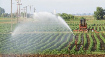 Προτεινόμενες αγροτικές εργασίες μέχρι τα τέλη Μαΐου 2021(+Χάρτες)