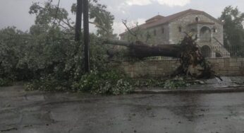 Ισχυρή καταιγίδα με χαλάζι και θυελλώδεις ανέμους σάρωσε τον Παλαμά Καρδίτσας την Κυριακή 18/7 (φωτο+βίντεο)