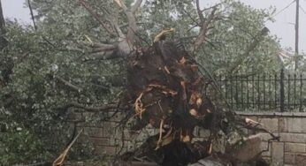 Η καταστροφική καταιγίδα που έπληξε την περιοχή του Παλαμά στις 18/7/2021(+Χάρτες)