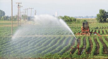 Προτεινόμενες αγροτικές εργασίες την τελευταία εβδομάδα του Ιουλίου του 2021(+Χάρτες)