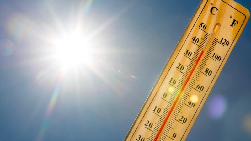 Οι μέγιστες θερμοκρασίες που καταγράφηκαν την 1/8/2021 στην Θεσσαλία