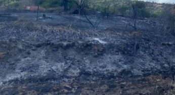 ΕΣΒΗΣΕ Η ΦΩΤΙΑ ΠΟΥ ΕΚΔΗΛΩΘΗΚΕ ΝΩΡΙΣ ΤΟ ΑΠΟΓΕΥΜΑ ΣΤΟΝ ΚΙΣΣΑΒΟ ΚΑΙ ΣΥΓΚΕΚΡΙΜΕΝΑ ΣΤΗΝ ΑΝΑΤΟΛΗ ΑΓΙΑΣ (φωτογραφίες)