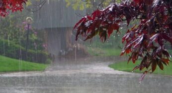 Πρόγνωση Θεσσαλίας και Σποράδων 5-7/9/21 Βροχές με πτώση της θερμοκρασίας σε φθινοπωρινά επίπεδα (+χάρτης βροχής)