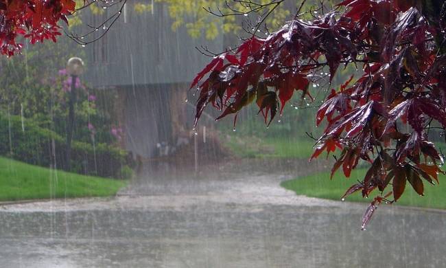 Πρόγνωση Θεσσαλίας και Σποράδων 15-17/11/21 Τοπικές βροχές με φθινοπωρινές θερμοκρασίες (+χάρτης βροχής)