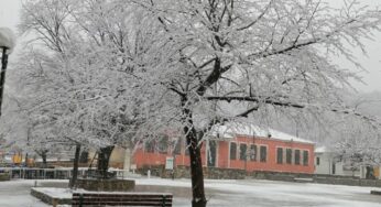 ΣΤΑ ΛΕΥΚΑ ΤΑ ΗΜΙΟΡΕΙΝΑ ΤΗΣ ΛΑΡΙΣΑΣ (φώτο+βίντεο)