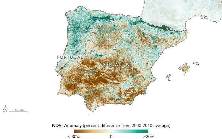 Οι ελαιοπαραγωγικές περιοχές της Ισπανίας πλήττονται από ξηρασία