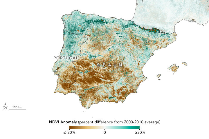 Οι ελαιοπαραγωγικές περιοχές της Ισπανίας πλήττονται από ξηρασία