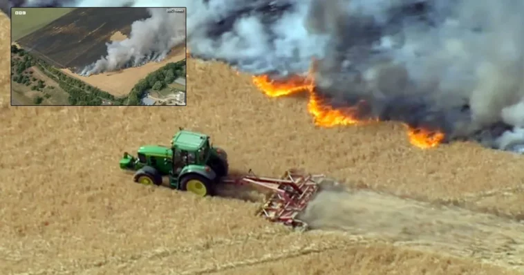 Aγρότης ήρωας: Σταμάτησε ολομόναχος την πορεία μεγάλης πυρκαγιάς με την πιο έξυπνη κίνηση (video)