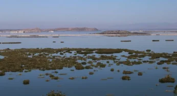 Ανεβαίνει η στάθμη της λίμνης Κάρλα (+αναλυτικοί πίνακες)