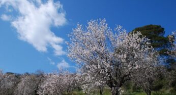 Πρόγνωση Θεσσαλίας και Σποράδων 4-6/4/24 Ηλιοφάνεια με θερμοκρασίες πάνω απο τα κανονικά επίπεδα (+χάρτες βροχής)