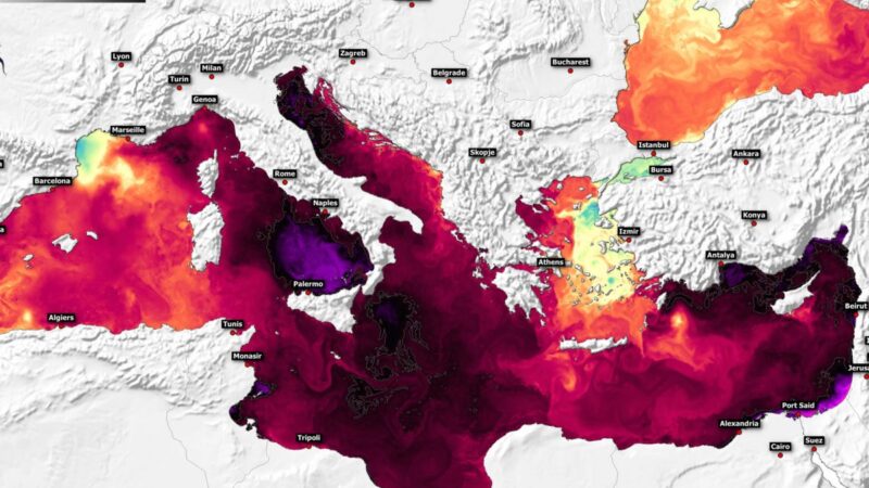 Ρεκόρ θερμοκρασίας της επιφάνειας της θάλασσας στη Μεσόγειο στα μέσα Αυγούστου 2024